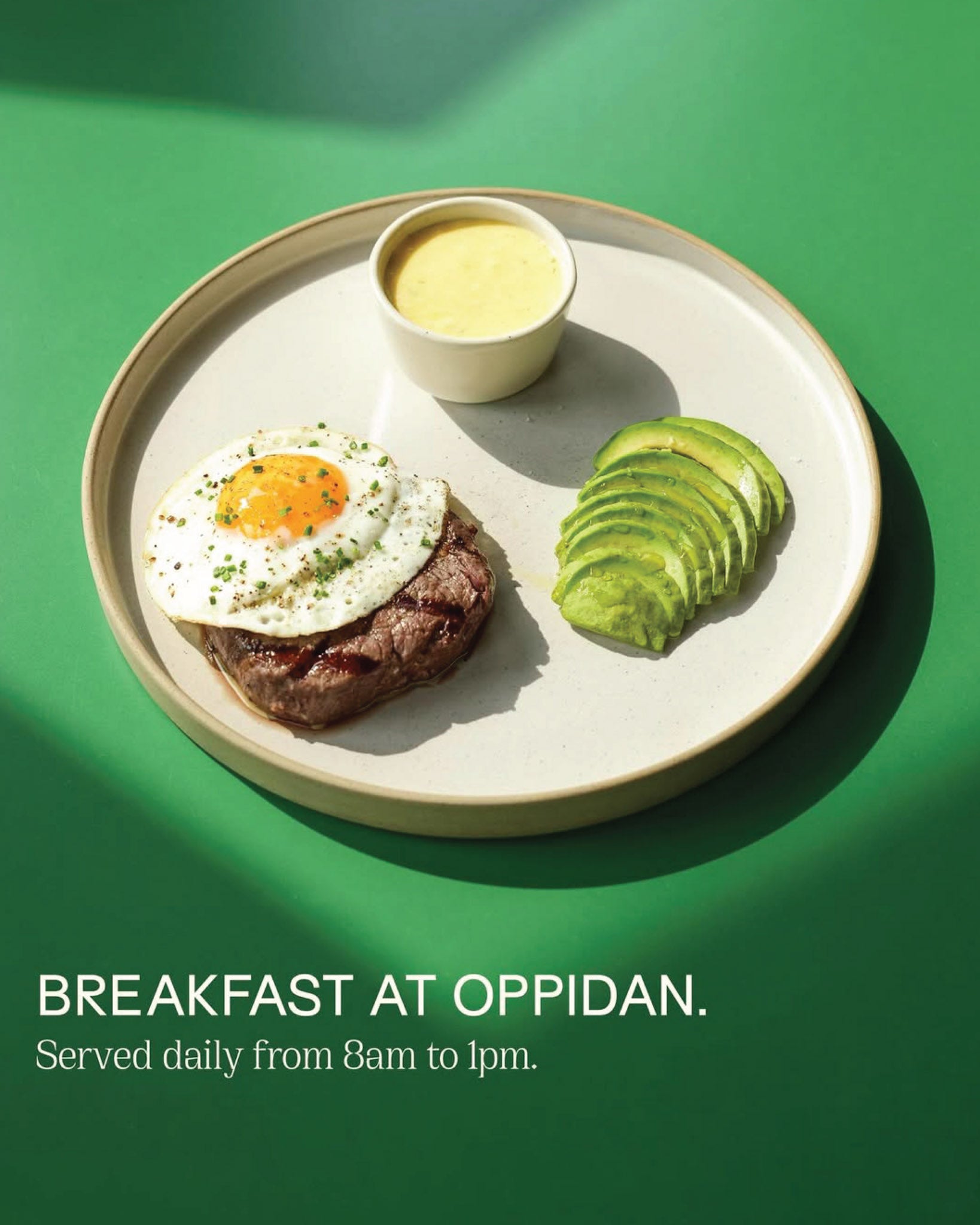 Oppidan